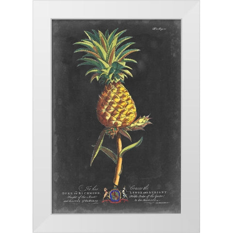 Dramatic Royal Botanical II White Modern Wood Framed Art Print by Ehret, George