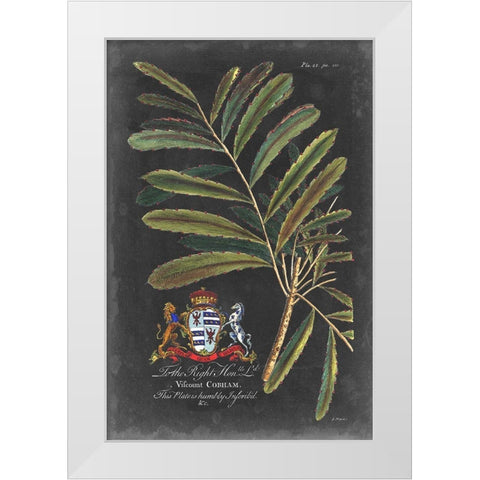 Dramatic Royal Botanical III White Modern Wood Framed Art Print by Ehret, George