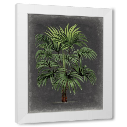 Dramatic Palm I White Modern Wood Framed Art Print by Vision Studio