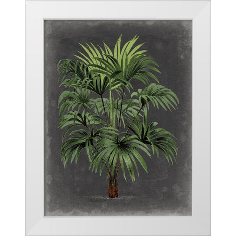 Dramatic Palm I White Modern Wood Framed Art Print by Vision Studio