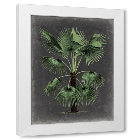 Dramatic Palm II White Modern Wood Framed Art Print by Vision Studio