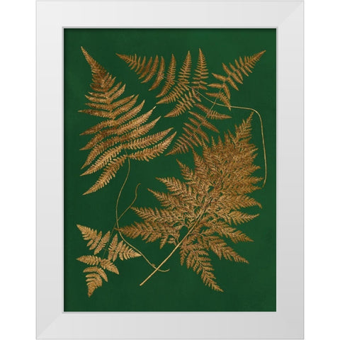 Gilded Ferns II White Modern Wood Framed Art Print by Vision Studio