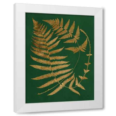 Gilded Ferns IV White Modern Wood Framed Art Print by Vision Studio