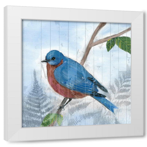 Eastern Songbird IV White Modern Wood Framed Art Print by Ludwig, Alicia