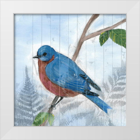 Eastern Songbird IV White Modern Wood Framed Art Print by Ludwig, Alicia