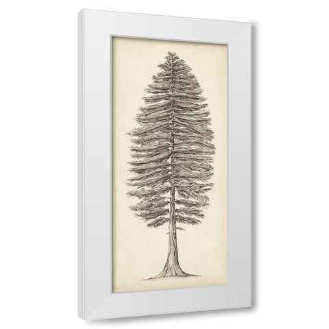 Pacific Northwest Tree Sketch II White Modern Wood Framed Art Print by Wang, Melissa