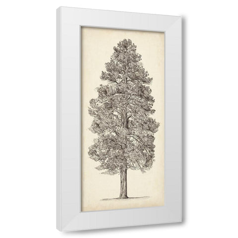 Pacific Northwest Tree Sketch III White Modern Wood Framed Art Print by Wang, Melissa