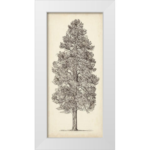 Pacific Northwest Tree Sketch III White Modern Wood Framed Art Print by Wang, Melissa