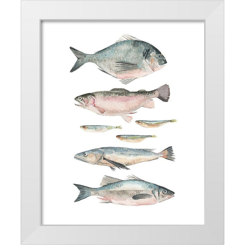 Fish Composition II White Modern Wood Framed Art Print by Scarvey, Emma