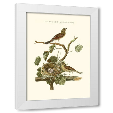 Nozeman Common Teal Nest White Modern Wood Framed Art Print by Nozeman