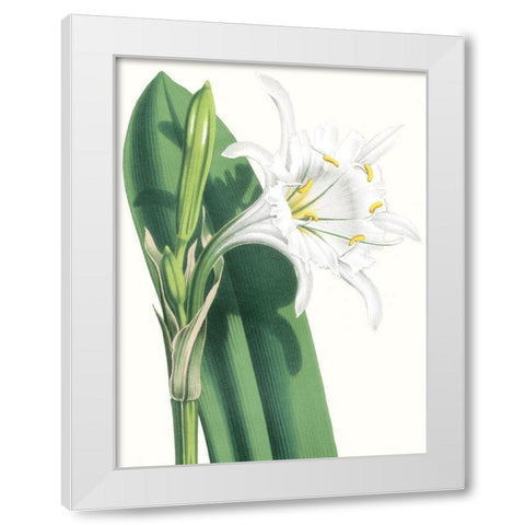 Floral Beauty I White Modern Wood Framed Art Print by Vision Studio