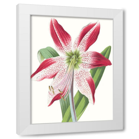 Floral Beauty II White Modern Wood Framed Art Print by Vision Studio