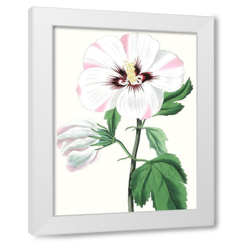 Floral Beauty III White Modern Wood Framed Art Print by Vision Studio