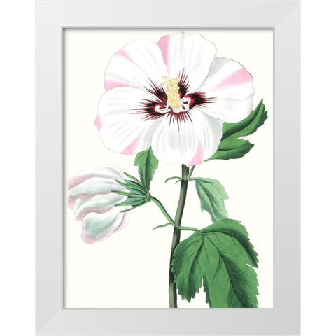 Floral Beauty III White Modern Wood Framed Art Print by Vision Studio