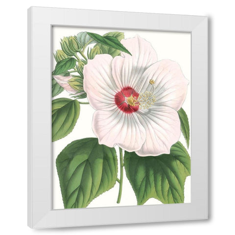 Floral Beauty IV White Modern Wood Framed Art Print by Vision Studio