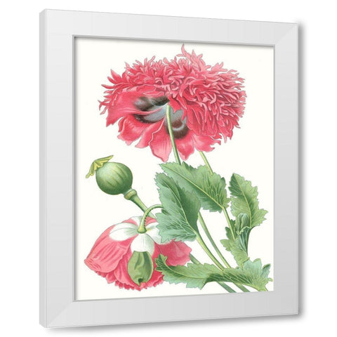 Floral Beauty V White Modern Wood Framed Art Print by Vision Studio