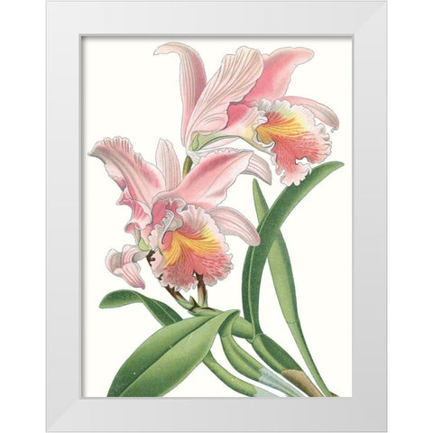 Floral Beauty IX White Modern Wood Framed Art Print by Vision Studio