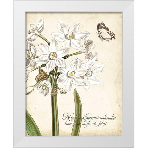 Narcissus Botanique I White Modern Wood Framed Art Print by Vision Studio