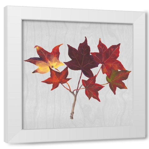 Autumn Leaves I White Modern Wood Framed Art Print by Miller, Dianne