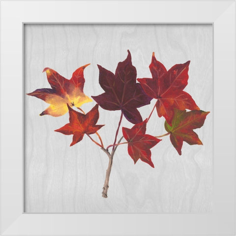 Autumn Leaves I White Modern Wood Framed Art Print by Miller, Dianne