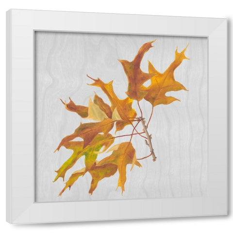Autumn Leaves III White Modern Wood Framed Art Print by Miller, Dianne