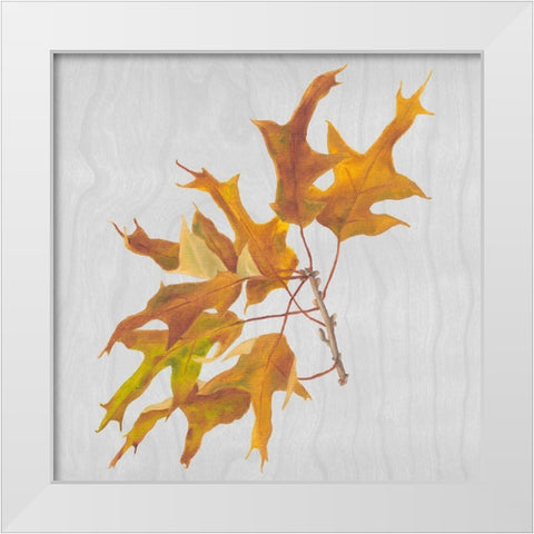 Autumn Leaves III White Modern Wood Framed Art Print by Miller, Dianne