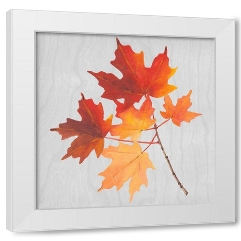 Autumn Leaves IV White Modern Wood Framed Art Print by Miller, Dianne