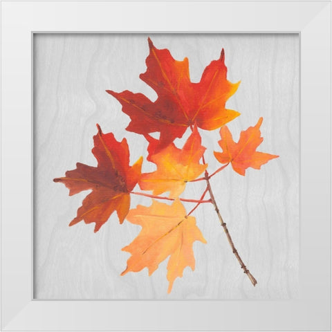 Autumn Leaves IV White Modern Wood Framed Art Print by Miller, Dianne