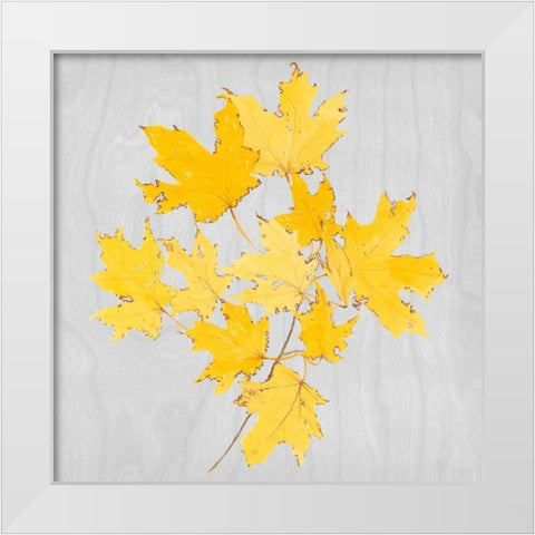 Autumn Leaves VII White Modern Wood Framed Art Print by Miller, Dianne