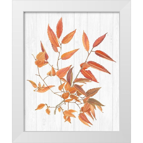 Sweet Foliage I White Modern Wood Framed Art Print by Miller, Dianne