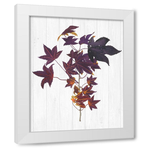 Sweet Foliage II White Modern Wood Framed Art Print by Miller, Dianne