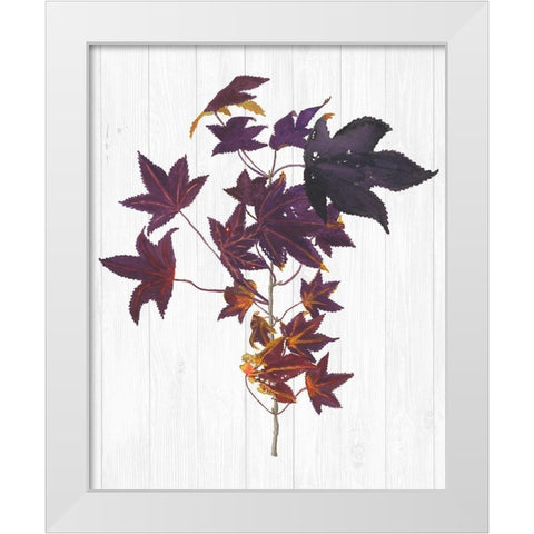 Sweet Foliage II White Modern Wood Framed Art Print by Miller, Dianne