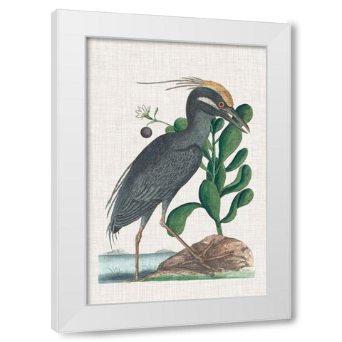 Catesby Heron I White Modern Wood Framed Art Print by Catesby, Mark