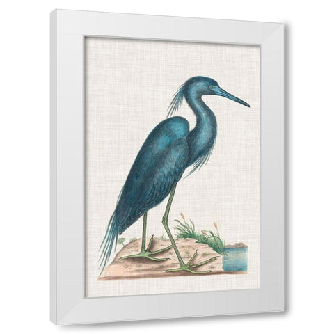 Catesby Heron II White Modern Wood Framed Art Print by Catesby, Mark