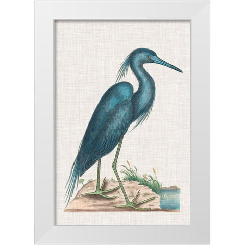 Catesby Heron II White Modern Wood Framed Art Print by Catesby, Mark