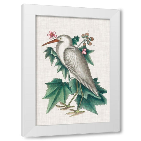 Catesby Heron III White Modern Wood Framed Art Print by Catesby, Mark