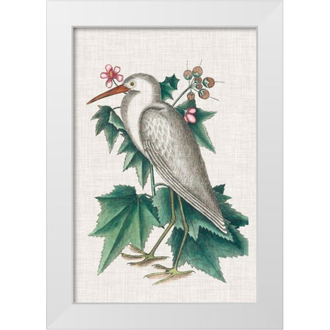 Catesby Heron III White Modern Wood Framed Art Print by Catesby, Mark