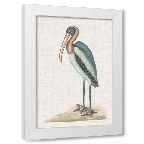 Catesby Heron IV White Modern Wood Framed Art Print by Catesby, Mark