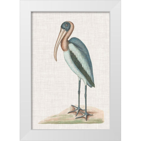 Catesby Heron IV White Modern Wood Framed Art Print by Catesby, Mark