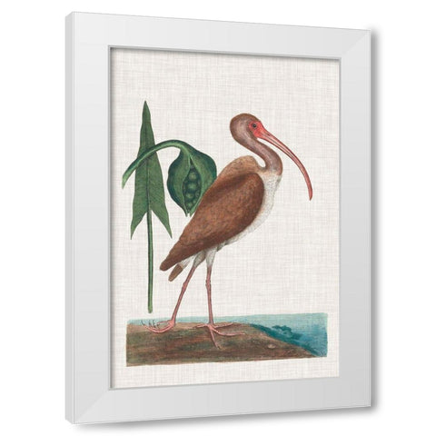 Catesby Heron V White Modern Wood Framed Art Print by Catesby, Mark