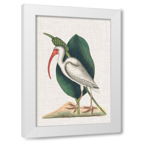Catesby Heron VI White Modern Wood Framed Art Print by Catesby, Mark