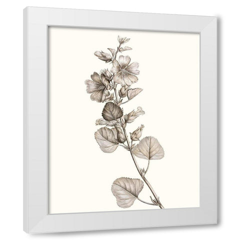Neutral Botanical Study I White Modern Wood Framed Art Print by Vision Studio