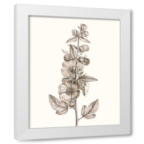 Neutral Botanical Study V White Modern Wood Framed Art Print by Vision Studio