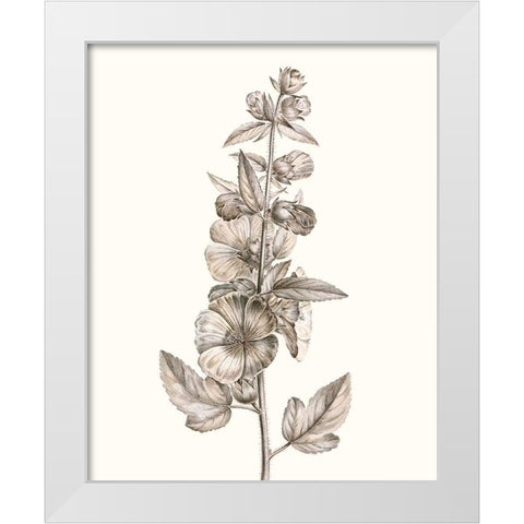 Neutral Botanical Study V White Modern Wood Framed Art Print by Vision Studio