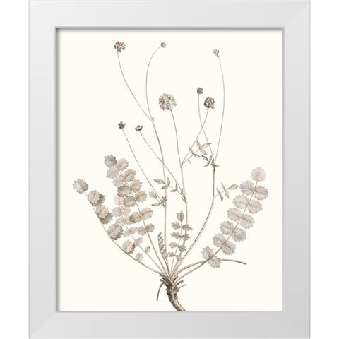 Neutral Botanical Study IX White Modern Wood Framed Art Print by Vision Studio