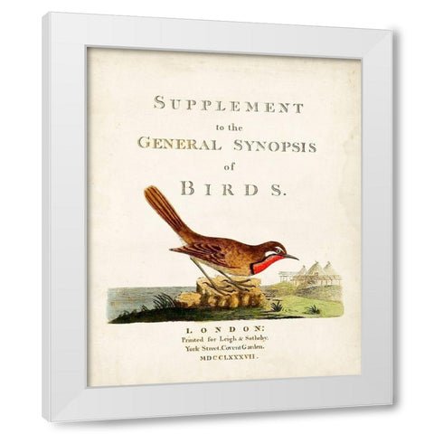 General Synopsis of Birds White Modern Wood Framed Art Print by Latham, John