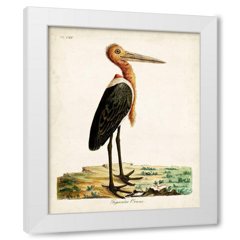 Gigantic Crane White Modern Wood Framed Art Print by Latham, John