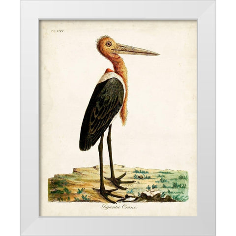Gigantic Crane White Modern Wood Framed Art Print by Latham, John