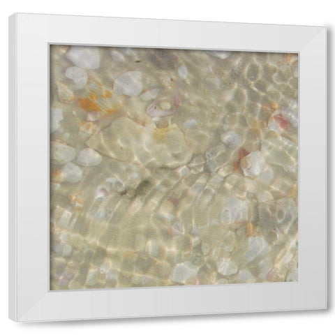 Shell Squares I White Modern Wood Framed Art Print by Ilosky, Pam