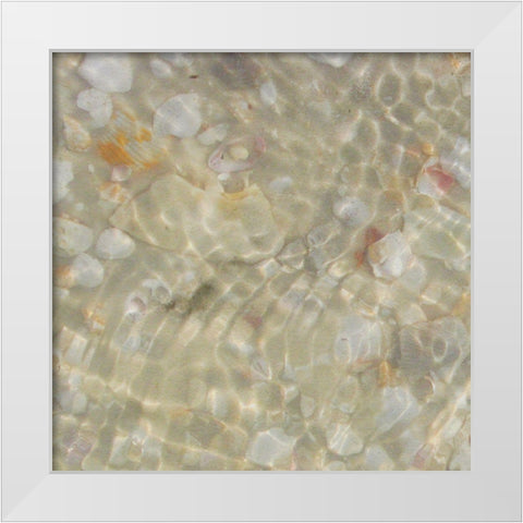 Shell Squares I White Modern Wood Framed Art Print by Ilosky, Pam